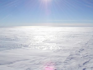 南極波動変換施術 171         
